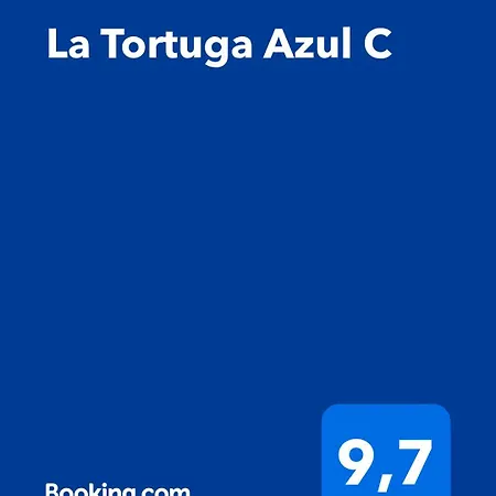 Appartement La Tortuga Azul C *